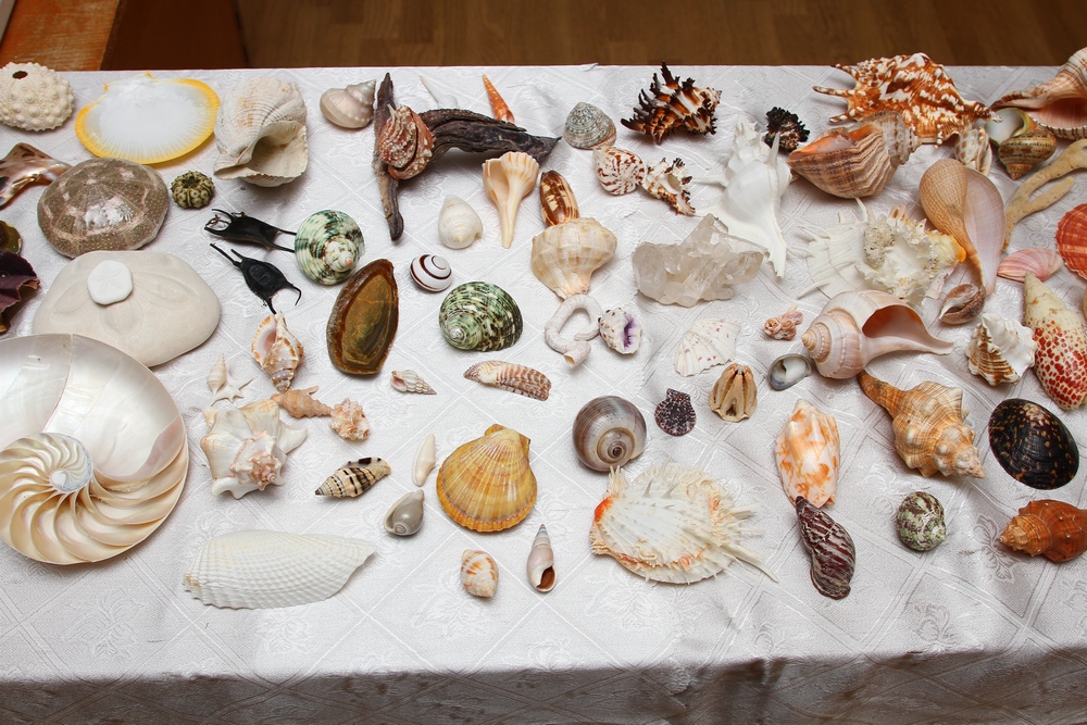 Частина подарованої колекціїї